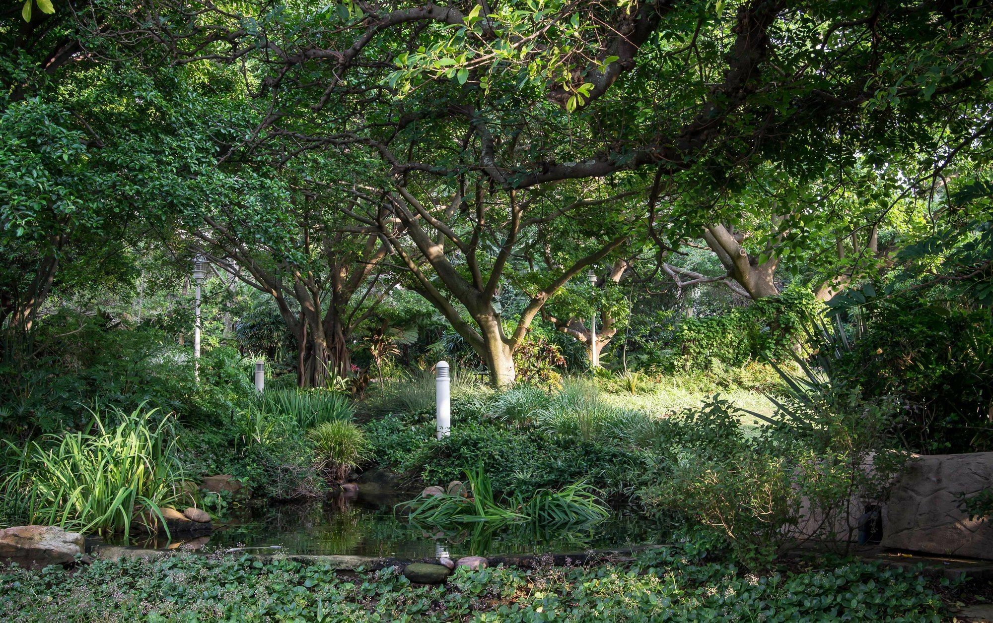 302 Oyster Schelles - By Stay In Umhlanga เดอร์บัน ภายนอก รูปภาพ